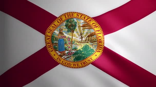 在风中飘扬的弗罗里达州的旗帜 具有面料质感 飘扬的旗帜在一个完美的循环中平稳地移动 美国州 Fps动画 — 图库视频影像