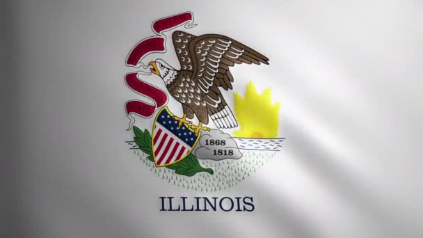 イリノイ州の旗は風に動く生地の質感を持っています 完璧なループで振るフラグの滑らかな動き アメリカ合衆国 Fpsアニメーション — ストック動画