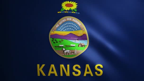 カンザス州の旗は風に動く生地の質感を持っています 完璧なループで振るフラグの滑らかな動き ブルー イエロー アメリカ合衆国 Fpsアニメーション — ストック動画