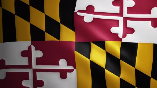 Maryland Flagga Med Tyg Struktur Som Rör Sig Vinden Smidig — Stockvideo