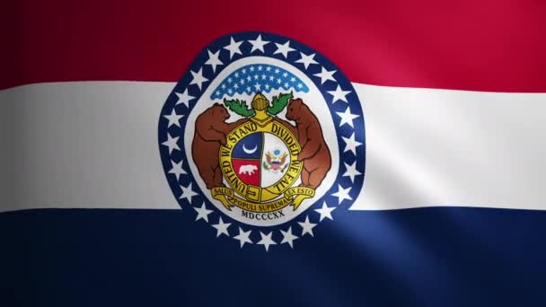 Bandera Missouri Con Textura Tela Que Mueve Viento Movimiento Suave — Vídeo de stock