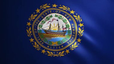 Rüzgarda hareket eden kumaş desenli New Hampshire bayrağı. Dalgalanan bayrağın kusursuz bir döngü içinde düzgün hareketi. Mavi, özgürlük, ülke, ulus, ABD devleti. 4k 60 fps animasyon.