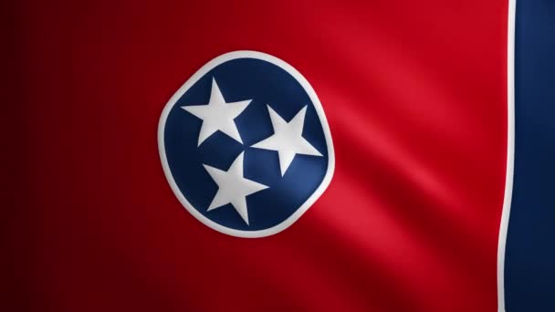 Tennessee Zászló Szövet Textúra Hogy Mozog Szél Lengő Zászló Zökkenőmentes — Stock videók