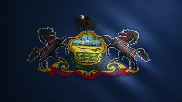 ペンシルベニア州の旗は風に動く生地の質感を持っています 完璧なループで振るフラグの滑らかな動き ブルー アメリカ Fpsアニメーション — ストック動画