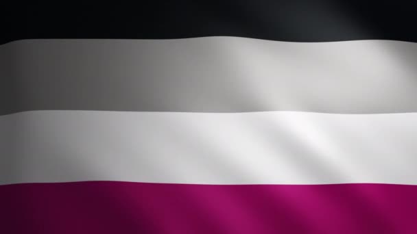 Aseksuele Trots Vlag Met Stof Textuur Die Beweegt Wind Soepele — Stockvideo