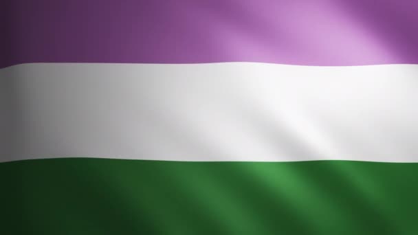Флаг Genderqueer Pride Текстурой Которая Движется Ветру Гладкое Движение Флага — стоковое видео