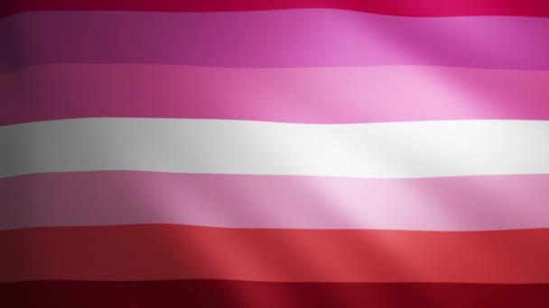 Bandera Orgullo Lesbiano Con Textura Tela Que Mueve Viento Movimiento — Vídeos de Stock