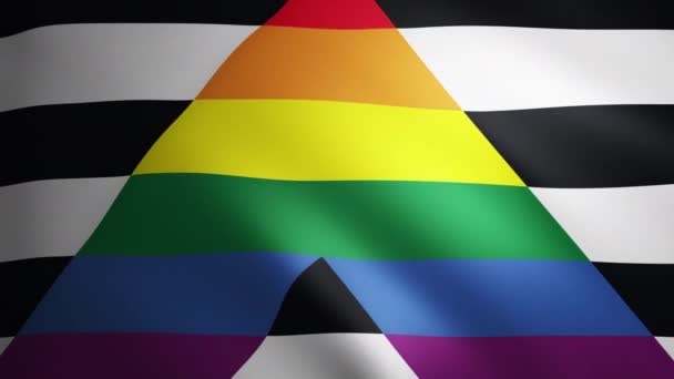 Steag Drept Ally Pride Textură Țesătură Care Mișcă Vânt Mișcarea — Videoclip de stoc