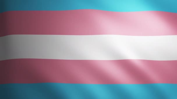 Steag Bisexual Pride Textură Țesătură Care Mișcă Vânt Mișcarea Lină — Videoclip de stoc