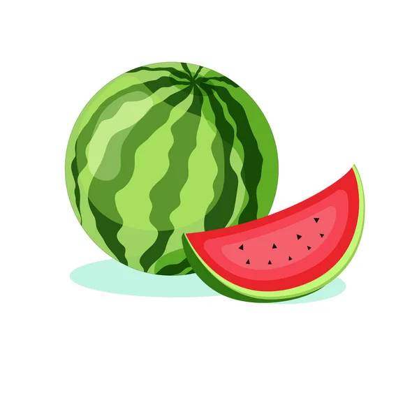 stock vector watermelon fruit with slice