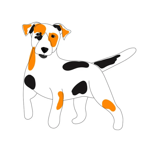 Perro Crianza Jack Russell Terrier — Vector de stock