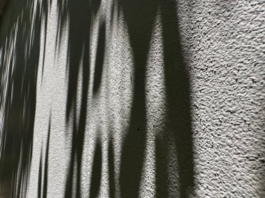 Beton duvardaki yaprakların gölgesi, yaprak gölgesi, gölge arkaplan, ve güneş ışığı, siyah beyaz, minimalist, soyut arkaplan siyah beyaz desenli