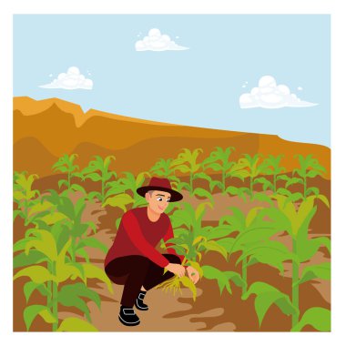 Bir çiftçi tarlada çalışıyor. Gün batımında ekinleri kontrol ediyorum. Düz vektör illüstrasyonu.