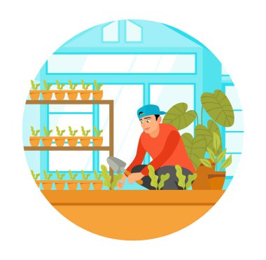 Bahçeyle uğraşan bir adam, kapalı bir bahçede çiçek saksılarında ya da sebzelerde büyük özenle yetiştirilirken görülüyor. Ev bahçesi konsepti.
