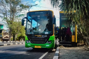 Otobüs duraklarında duran yeşil bir Trans Jatim otobüsü. 27 Haziran 2023, Endonezya 'da Isuzu küçük kasaba otobüsü.