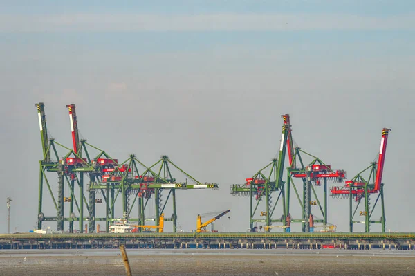 Group Ship Shore Gantry Cranes Teluk Lamong Harbor Indonesia June — Stock Photo, Image
