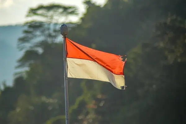 stock image a red and white Indonesian flag fluttering against a backdrop of rainforest and mountains