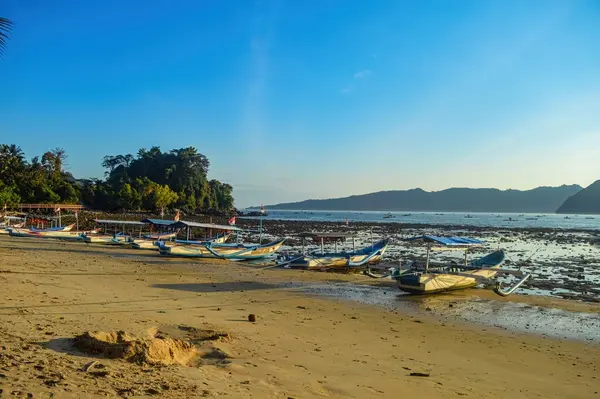 Endonezya, Karanggongso sahilinde arka arkaya park etmiş balıkçı tekneleri, 2 Ekim 2023.