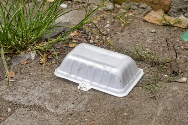 a styrofoam food container lying around