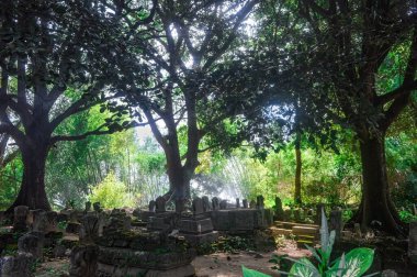 Sunan Giri 'nin antik İslami mezar kompleksi birkaç büyük ağaçla gölgelenmiştir.