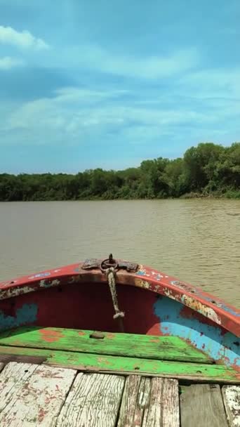 Tahta Bir Tekne Kullanarak Bir Mangrov Orman Nehrini Keşfetme Bakış — Stok video