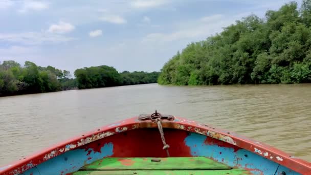 木製のボートを使ってマングローブの森の川を探索する視点 — ストック動画