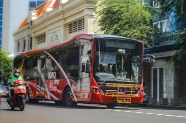 Suroboyo Otobüs veya Trans Semanggi adlı kırmızı şehir otobüsü Jalan Tunjungan, Endonezya 'dan geçer, 2 Mart 2024.