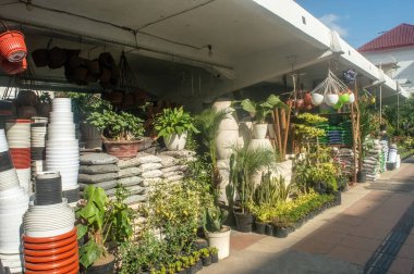 Surabaya kentinde yol kenarındaki girişimciler veya işadamları ve çiçek veya süs bitkileri satıcıları