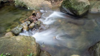 Sakin bir dere sık bir ormanın içinden akar, pürüzsüz kayaların üzerinde çağlayarak..