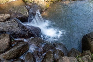 Küçük, çağlayan bir şelale, yemyeşil ormandaki yumuşak, yosunlu kayaların üzerinden akar..