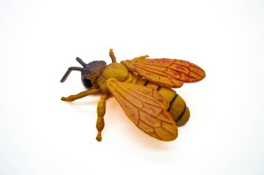 Close up of a realistic toy bee isolated on a white background, showcasing detailed wings and body structure clipart