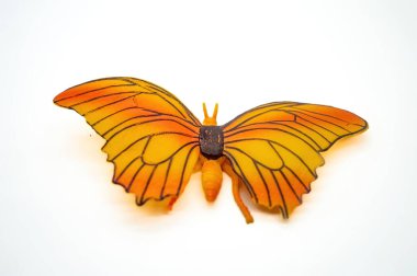 Canlı, izole edilmiş, turuncu ve sarı kanatlı, siyah çizgilerle detaylandırılmış, beyaz bir arka plan üzerine kurulmuş bir kelebek.