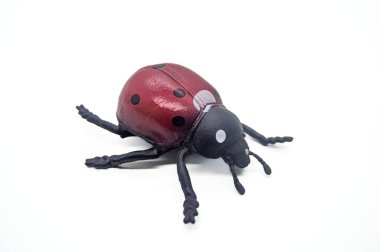 Beyaz arka planda izole edilmiş gerçekçi oyuncak uğur böceği. Ayrıntılı kırmızı ve siyah dizayn, altı bacak ve anten.