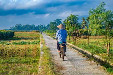 Bereketli tarlalar ve ağaçlarla çevrili sakin bir yolda bisiklet süren bir adamın 9 Ekim 2024 'te Endonezya' daki kırsal yaşamın özünü yakaladığı sakin kırsal bir manzara..