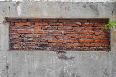 Yıpranmış beton çerçeveli eski tuğla duvar, yaş ve çürüme belirtileri gösteriyor. Sağ tarafta, dayanıklılığı ve yenilenmeyi simgeleyen küçük yeşil bir bitki yetişiyor.