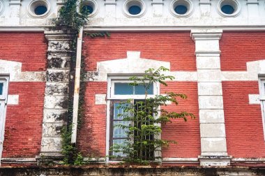 Beyaz aksanlı eski bir kırmızı tuğla bina, bitkiler çatlaklar ve pencereler arasında büyüdükçe ihmal belirtileri gösteriyor.