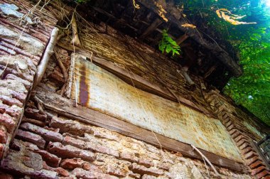 Aşırı gelişmiş bitki örtüsü ve paslı metal levhası olan eski, terk edilmiş bir tuğla bina. Çürüme ve doğa ıslah çalışmaları.