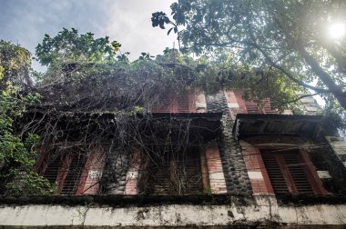 Klasik çiçek motiflerine sahip karmaşık bir demir ızgara yıpranmış, eski bir duvara konur. Zengin bir tarihi ve mimari güzelliği ima eder.