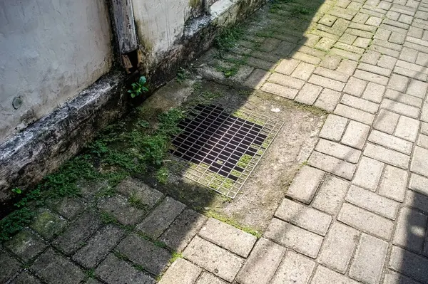 Yıpranmış tuğla kaldırımları olan bir kaldırım kirli bir duvara götürür, içinde yeşil otlar ve zıt gölgelerle çevrili metal bir ızgara bulunur.