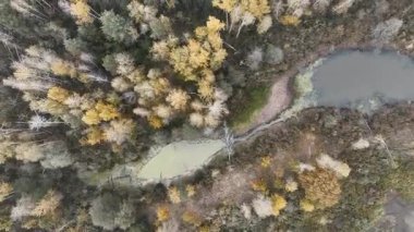 Sisli Sonbahar Nehir Manzarası Üzerinde Hava Aracı Uçuşu