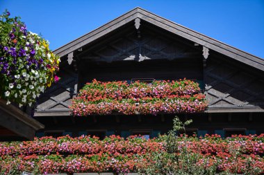 Bavyera 'da bir evin balkonunda çiçekler - Almanya