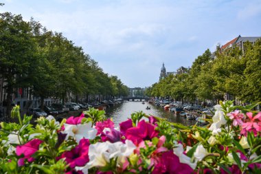 Amsterdam 'ın Resimli Kanalları