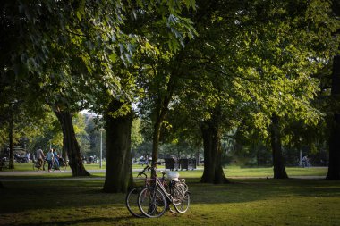 Vondelpark 'ta bisikletler - Amsterdam