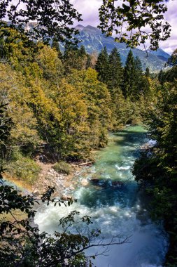 Slovenya 'nın Vintgar Vadisi' ndeki Alplerin Yaban Nehri