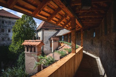 Slovenya 'daki Bled Castle Yolu