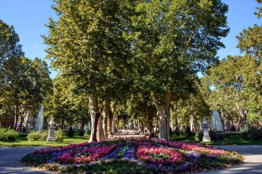 Zrinjevac Park 'taki Güzel Çiçek Yatağı - Zagreb, Hırvatistan