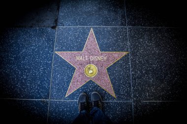 Hollywood Şöhret Yolu 'nda Walt Disney Star, Los Angeles, Kaliforniya