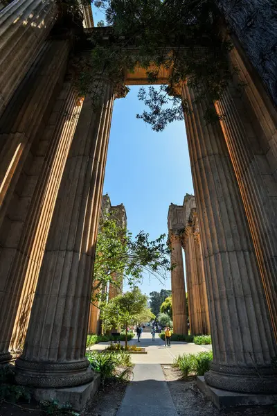 San Francisco, California Güzel Sanatlar Sarayı 'nın Colonnades' ine bakın.
