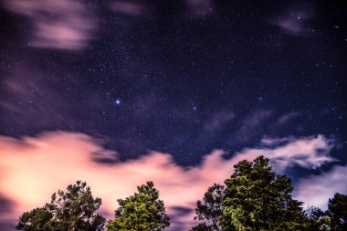 Aydınlatılmış Ağaçlar Büyülü Gece Gökyüzünün Altında