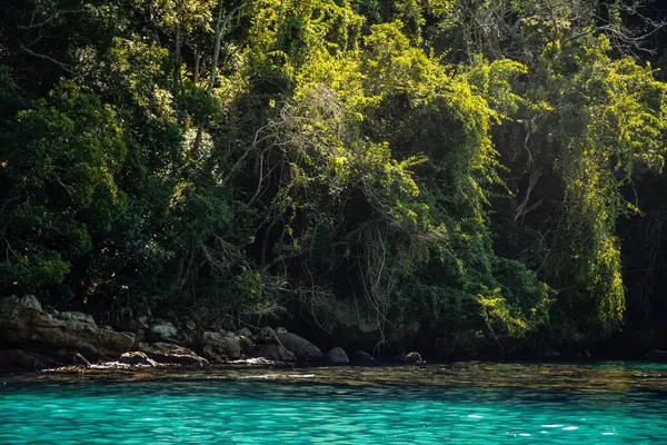 Costa Verde 'nin Turkuaz Suları ve Tropikal Ormanları - Rio de Janeiro, Brezilya